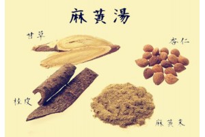 麻黄汤