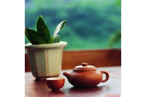 有一种幸福，叫静静品茶